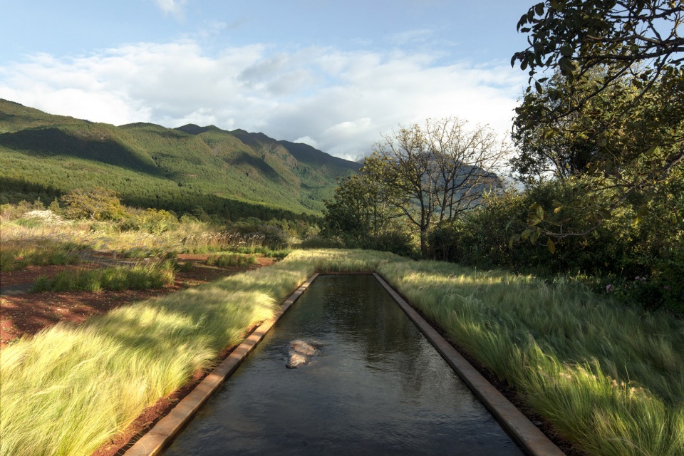 Wilderness Garden and Amphitheater Zscape