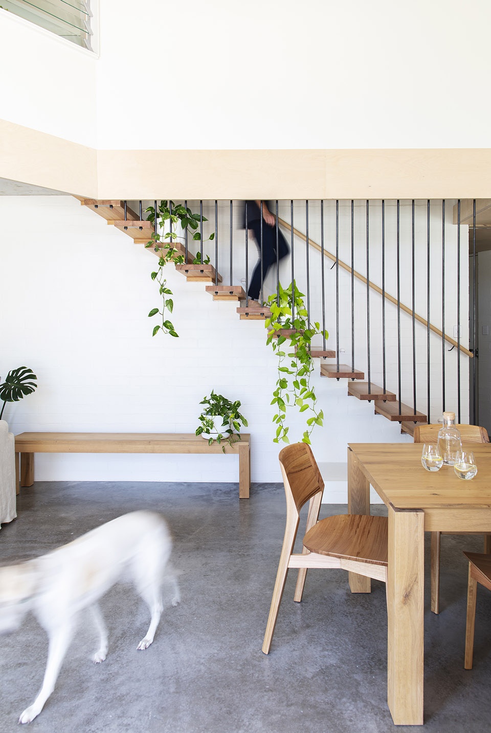 Macdonald Road House Philip Stejskal Architecture