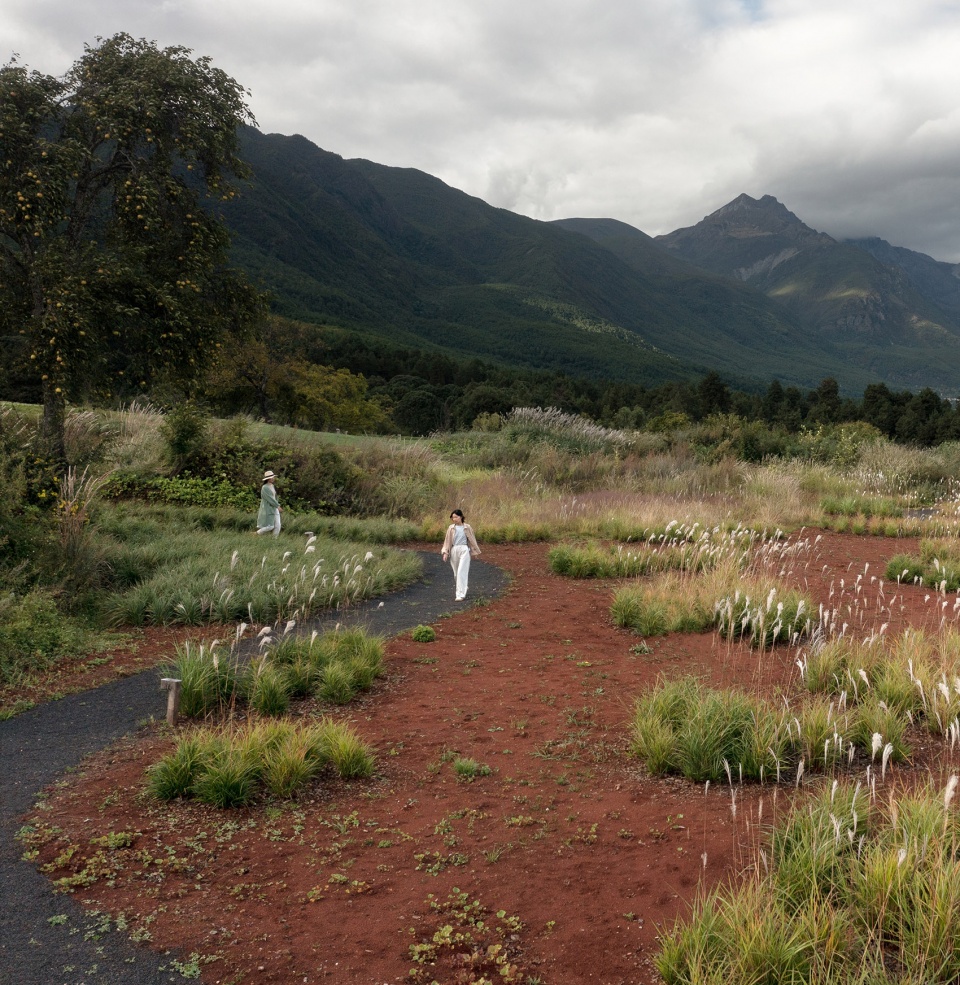 Wilderness Garden and Amphitheater Zscape