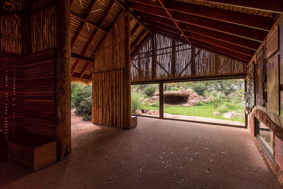 perth zoo lion exhibit australia by iredale pedersen hook