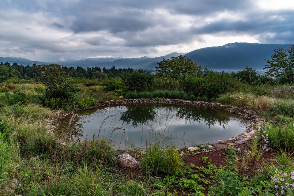 Wilderness Garden and Amphitheater Zscape