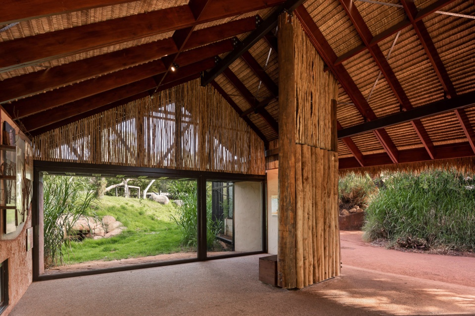 perth zoo lion exhibit australia by iredale pedersen hook
