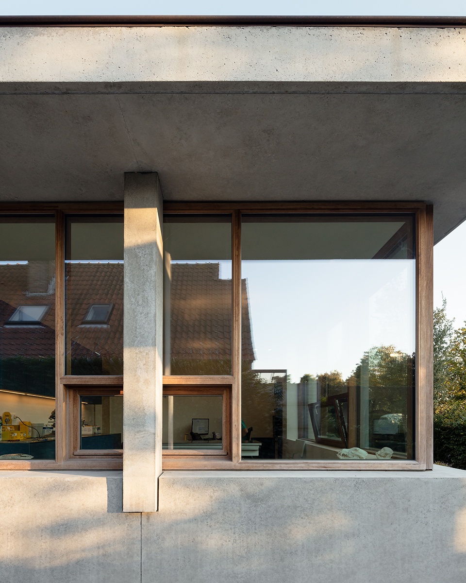 house and veterinary practice vd b by graux baeyens architecten