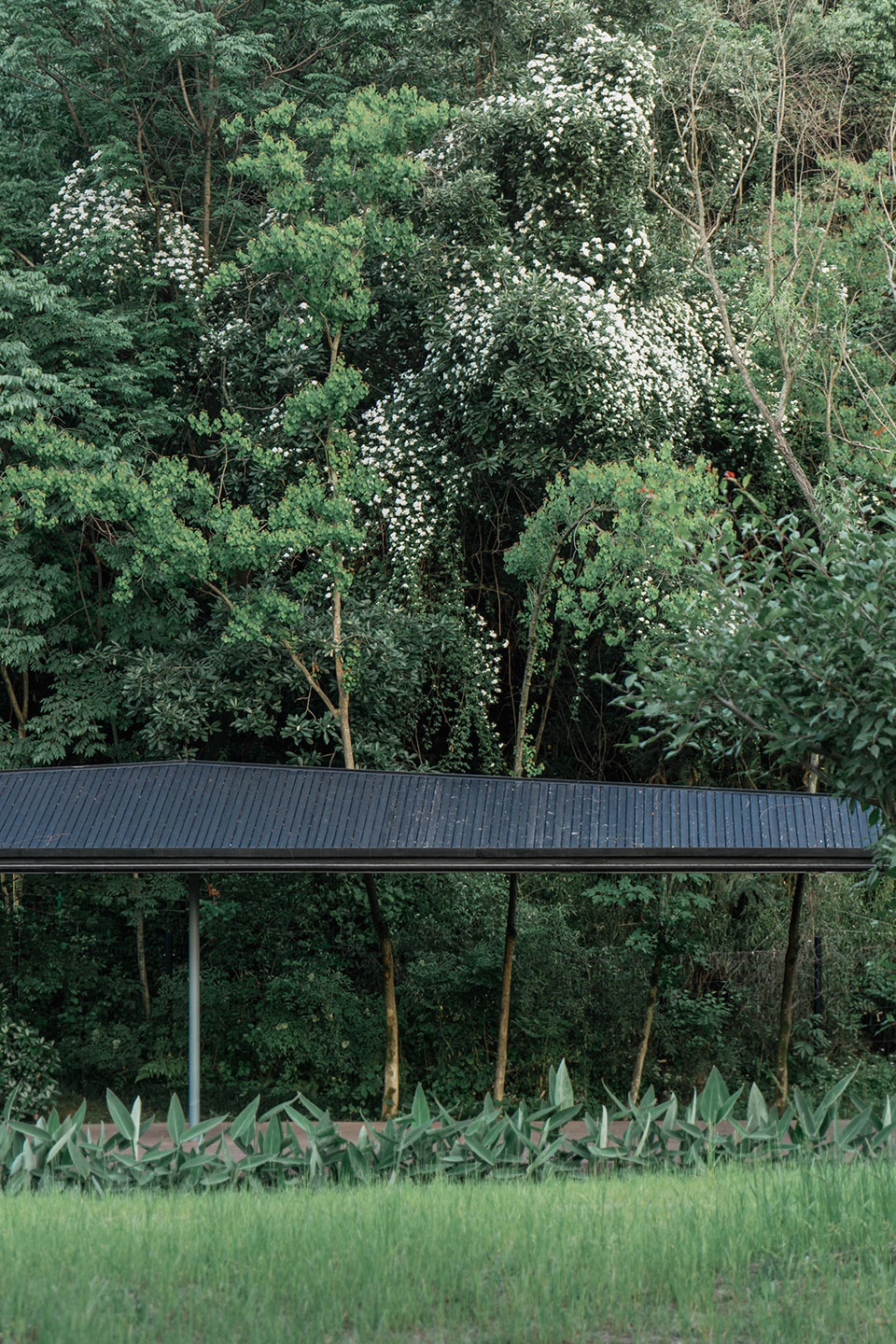 Micro Renewal of Zhejiang Conservatory of Music Zhu Peidong line