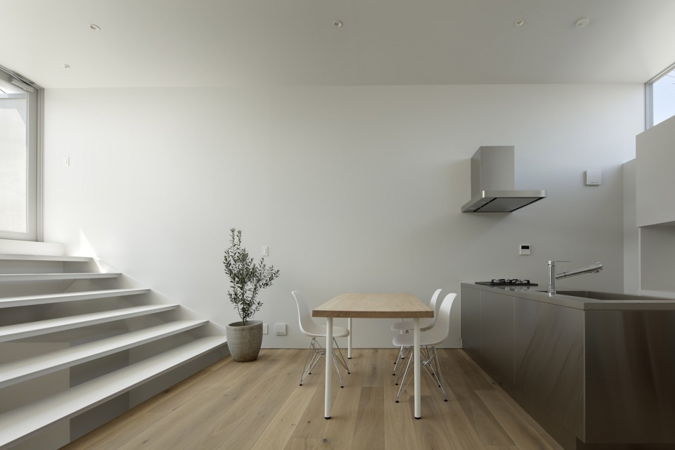 Aquarium House by NAO IWANARI Architecture