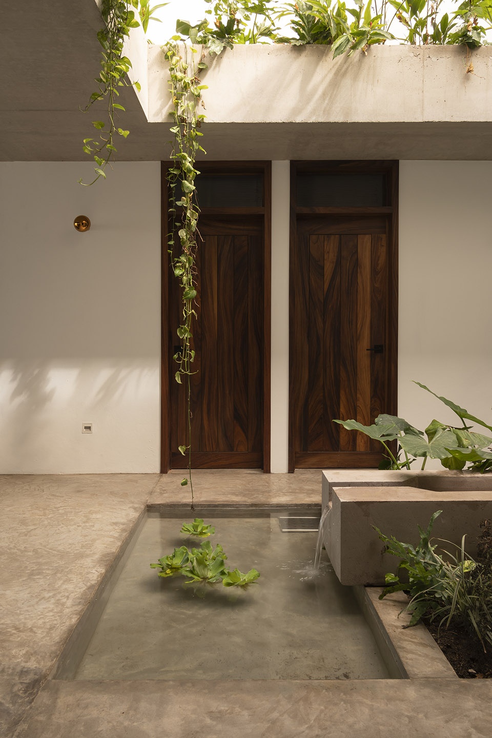 House Mirlo by Palma