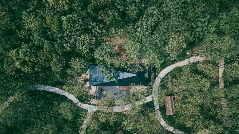 Wild Home Wiki World