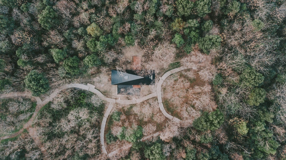 Wild Home Wiki World