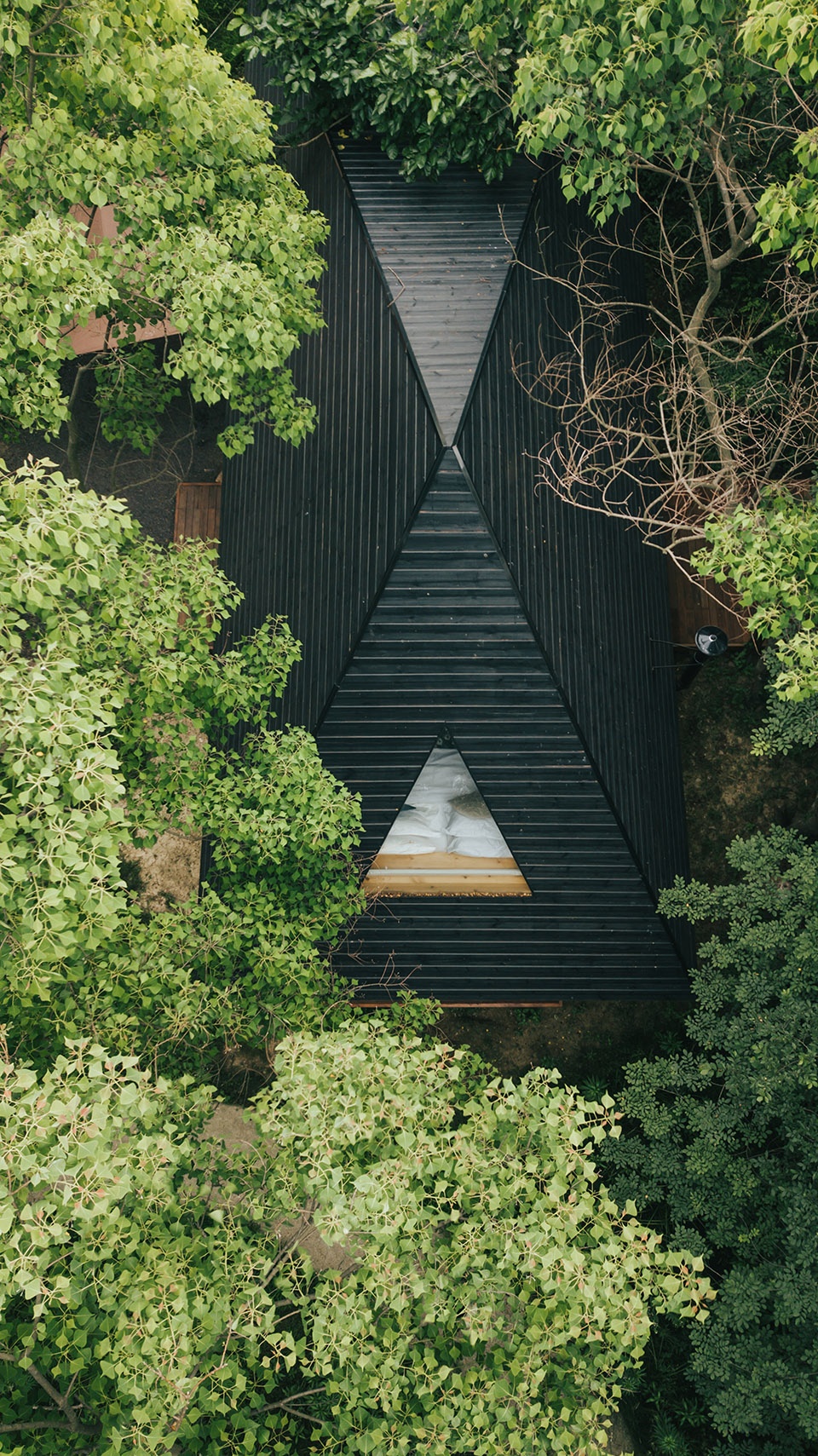Wild Home Wiki World