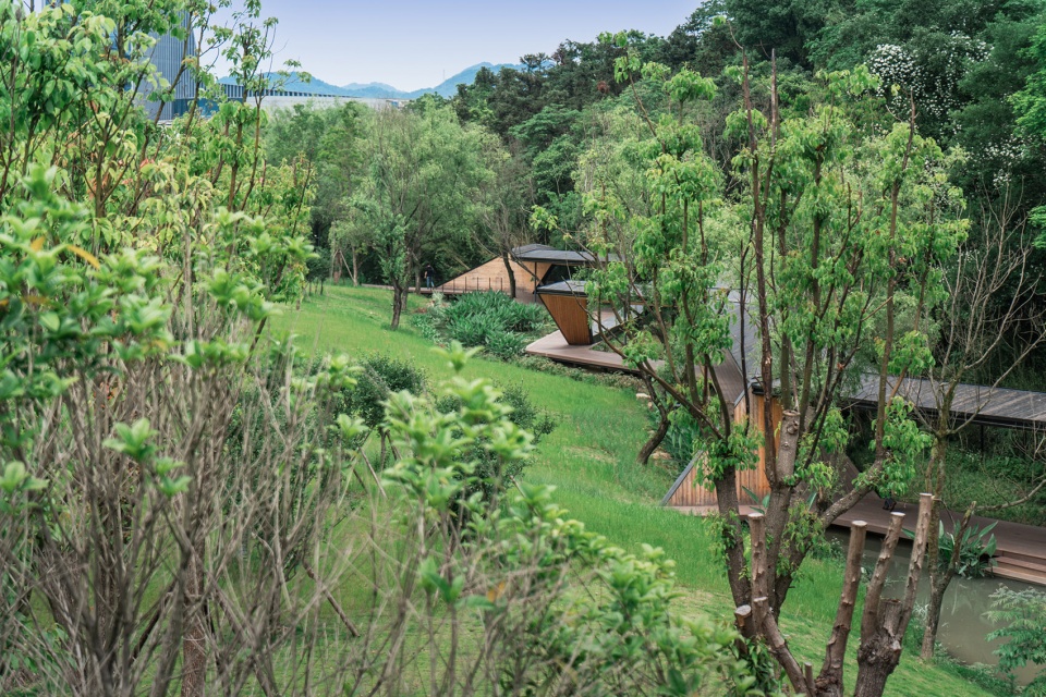 Micro Renewal of Zhejiang Conservatory of Music Zhu Peidong line
