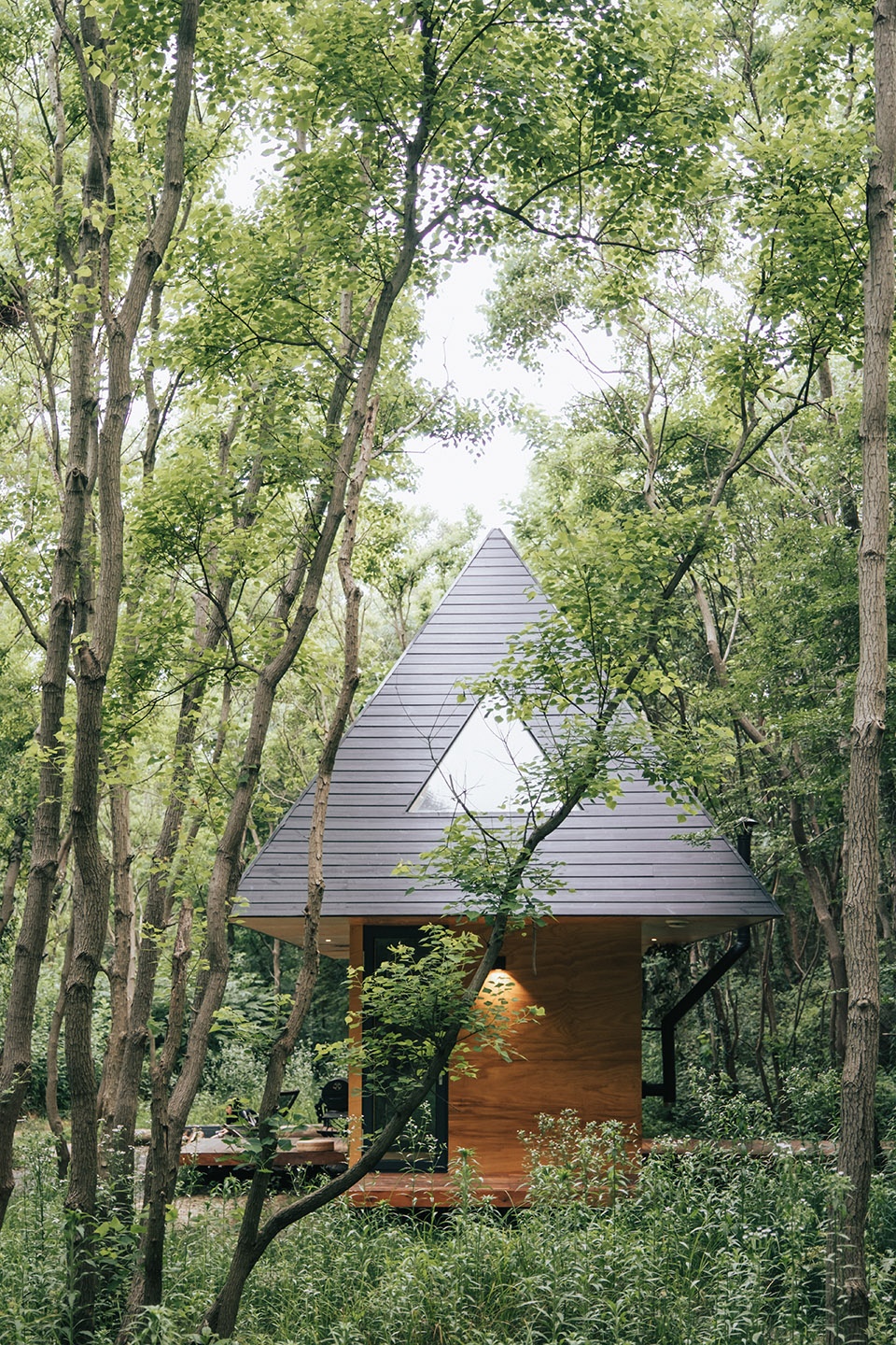 Wild Home Wiki World