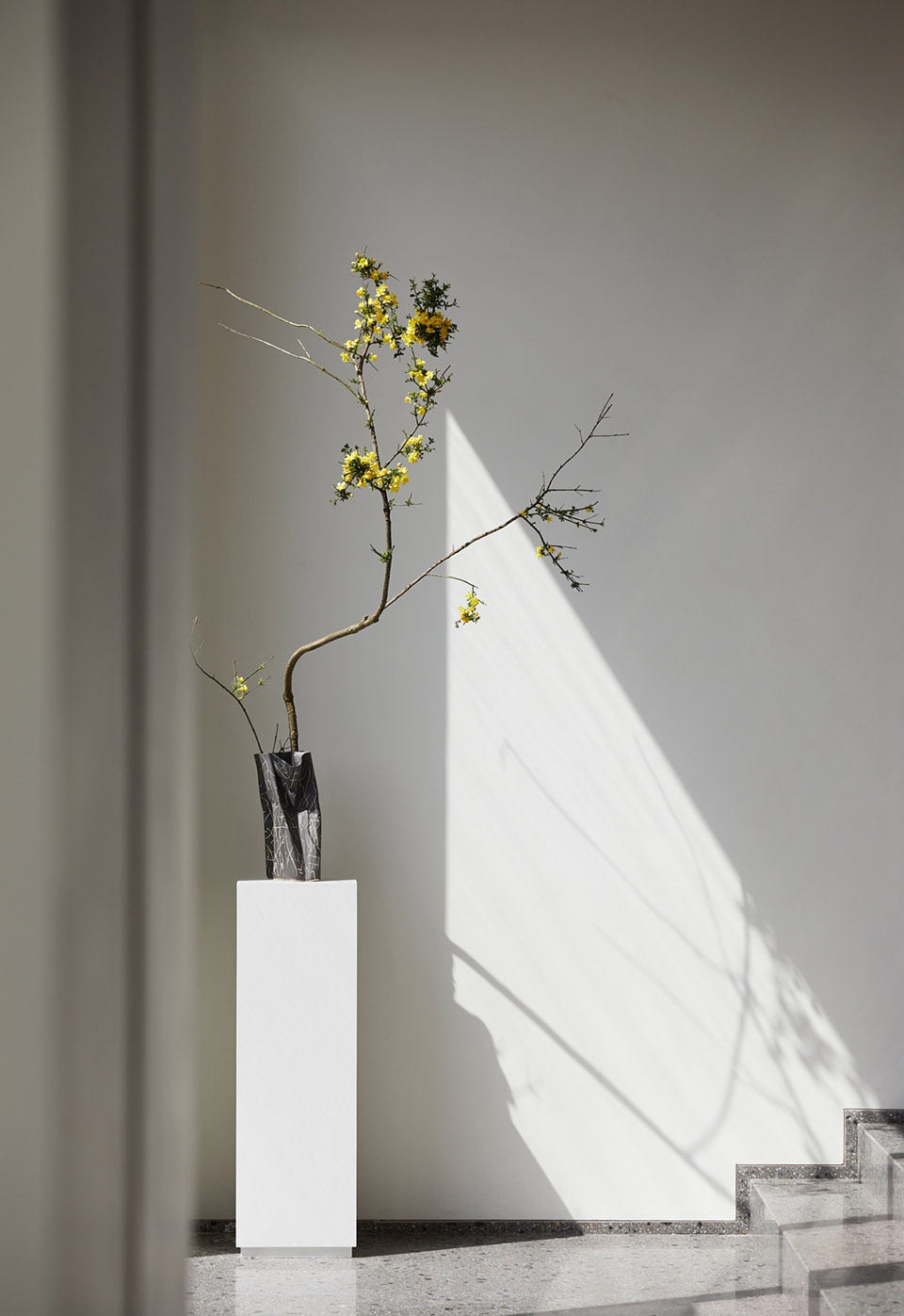 Line and form SHIYI DESIGN