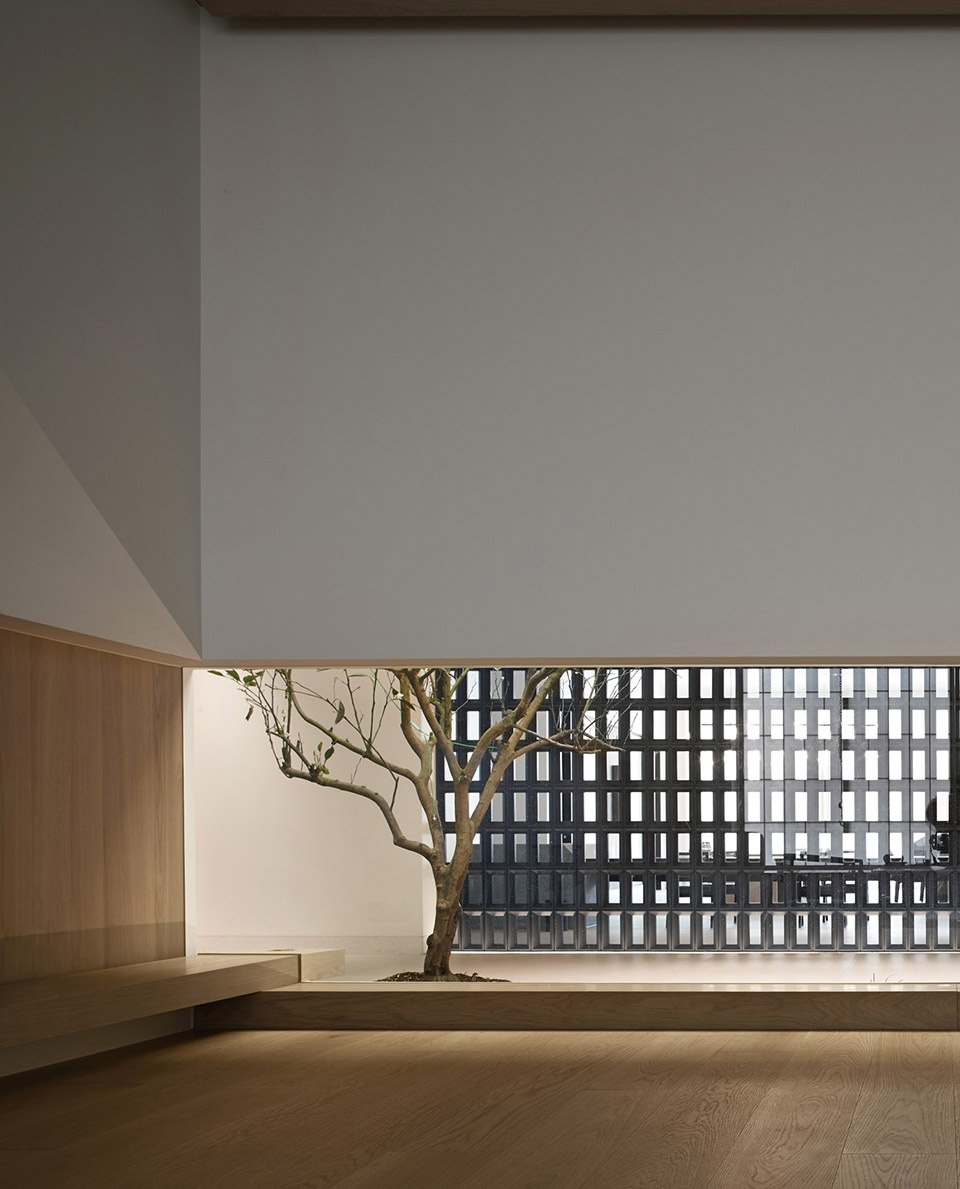 Line and form SHIYI DESIGN 1