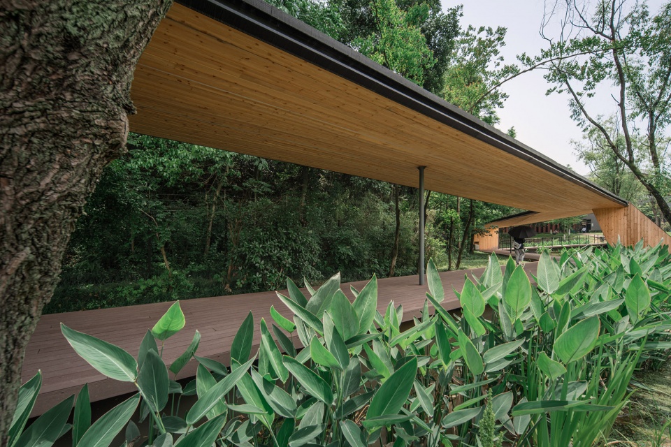 Micro Renewal of Zhejiang Conservatory of Music Zhu Peidong line