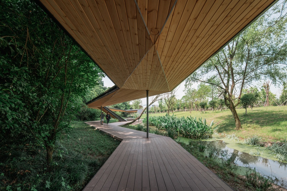 Micro Renewal of Zhejiang Conservatory of Music Zhu Peidong line