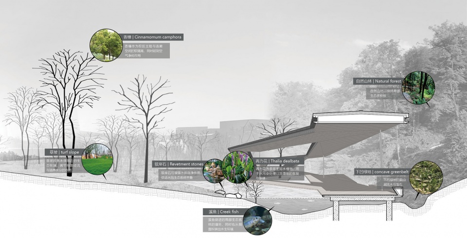 Micro Renewal of Zhejiang Conservatory of Music Zhu Peidong line