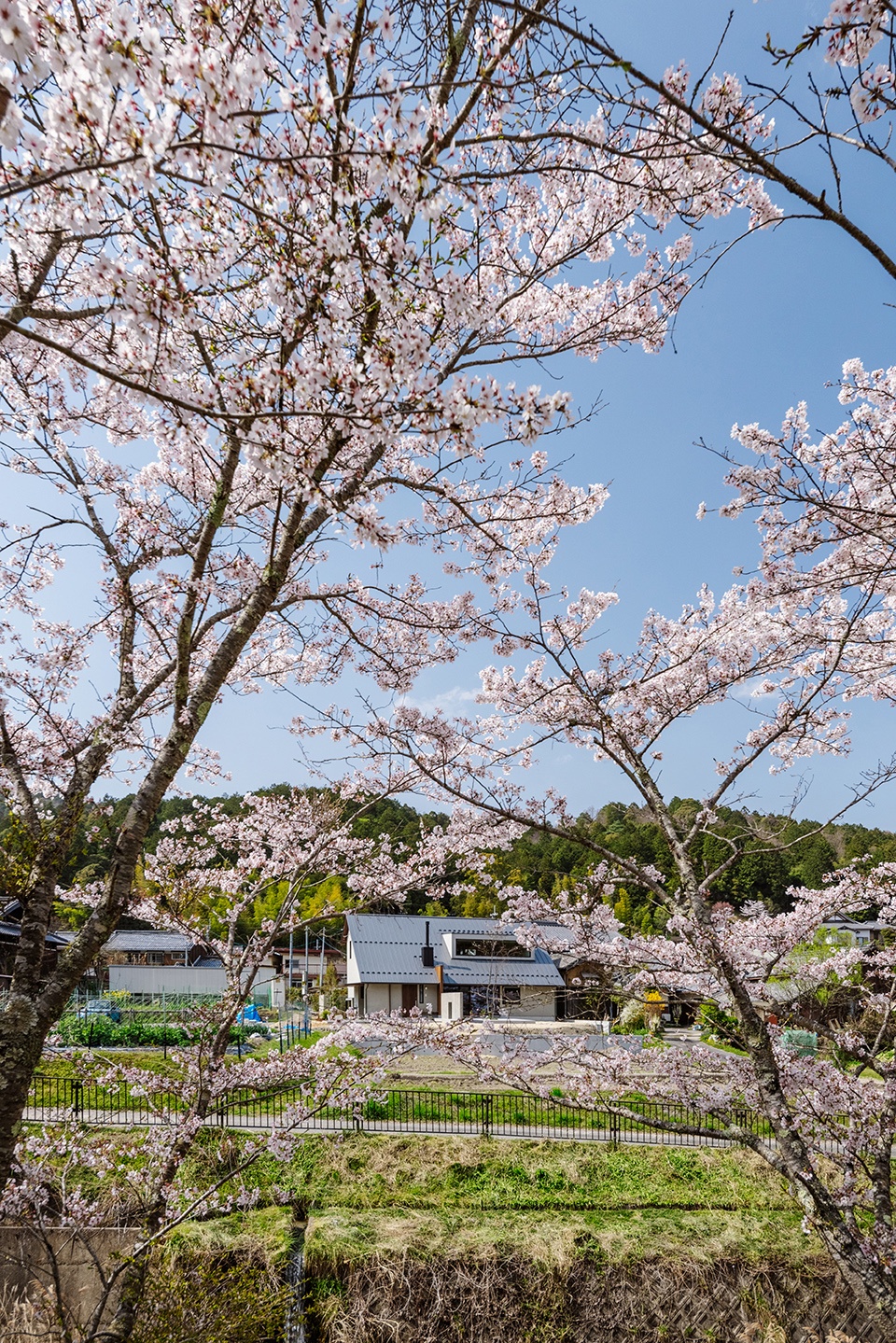 mikumo house by hearth architect
