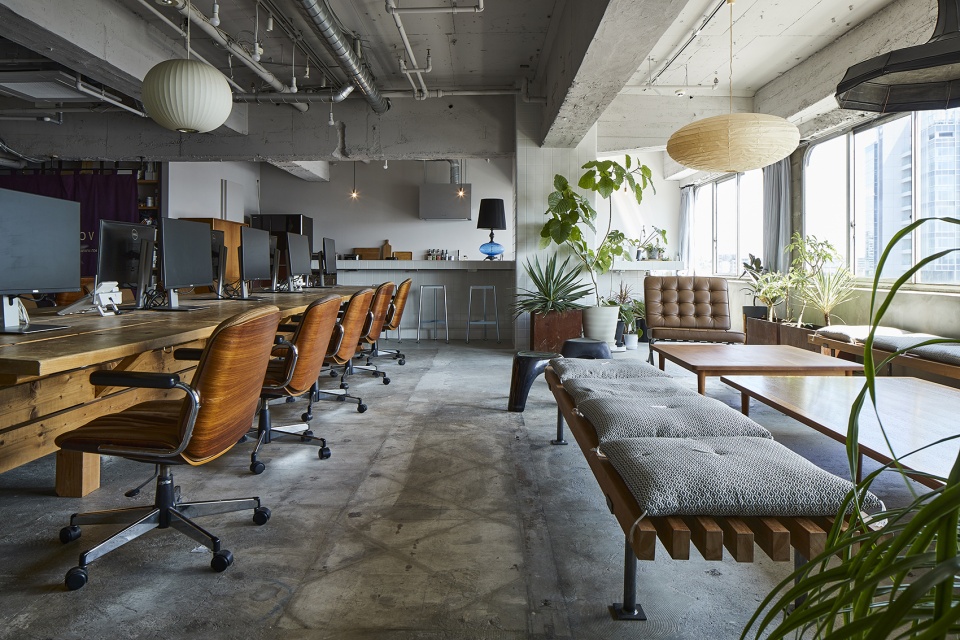 roovice office by roovice