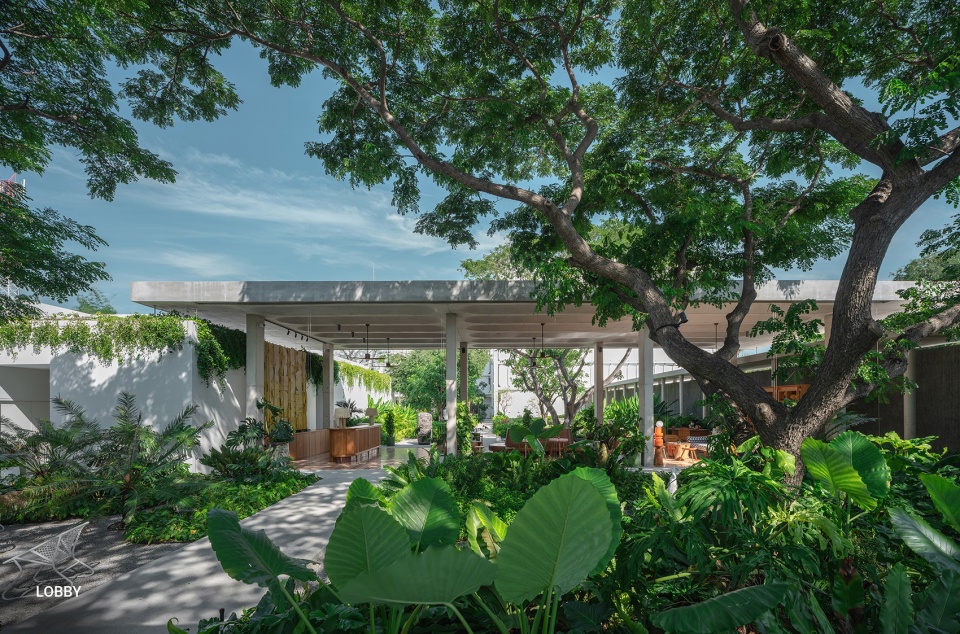 the standard hua hin by shma