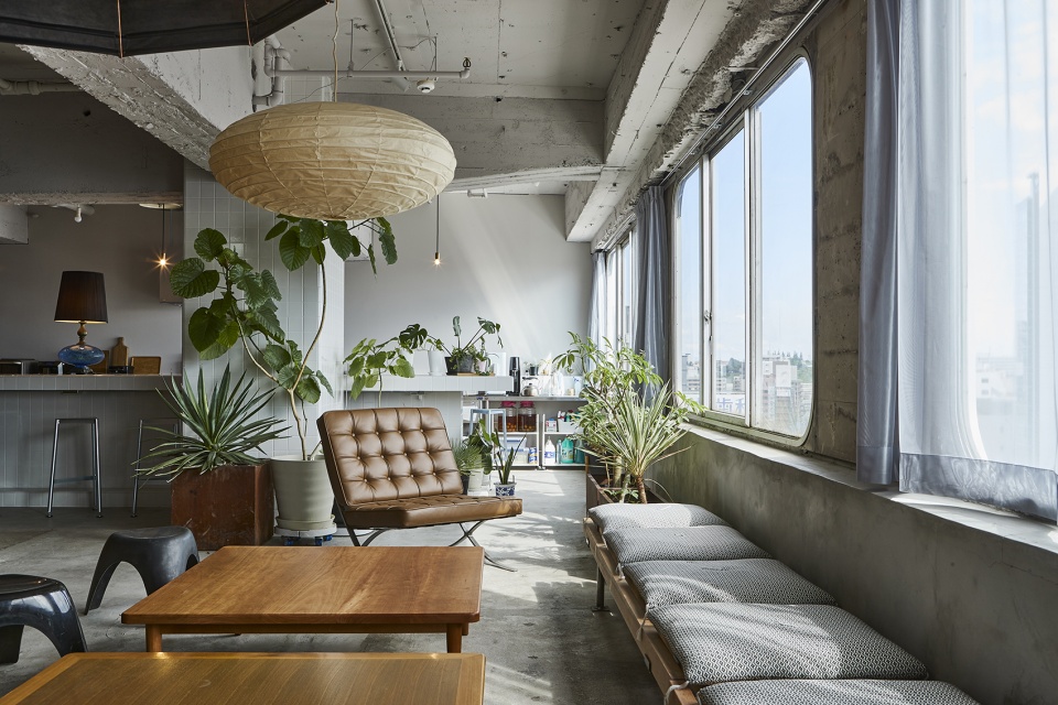 roovice office by roovice