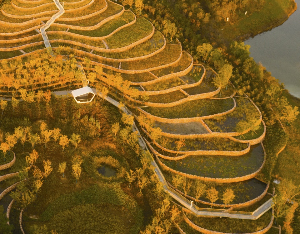 design as experiment the handan wastewater cleansing terraces by turenscape
