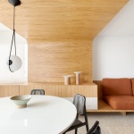 RR公寓，圣保罗 / Pascali Semerdjian Architects