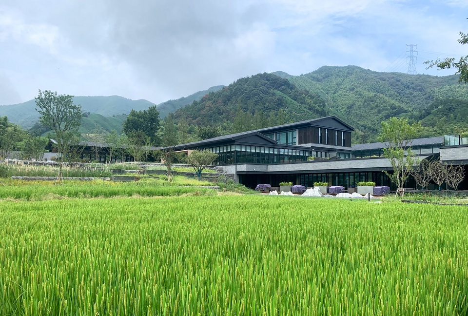 peitree resort yaoliang china by ddb architects shanghai being studio