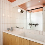 RR公寓，圣保罗 / Pascali Semerdjian Architects