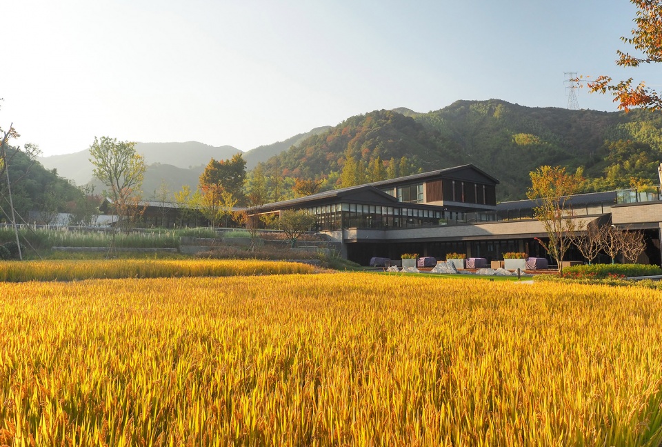 peitree resort yaoliang china by ddb architects shanghai being studio