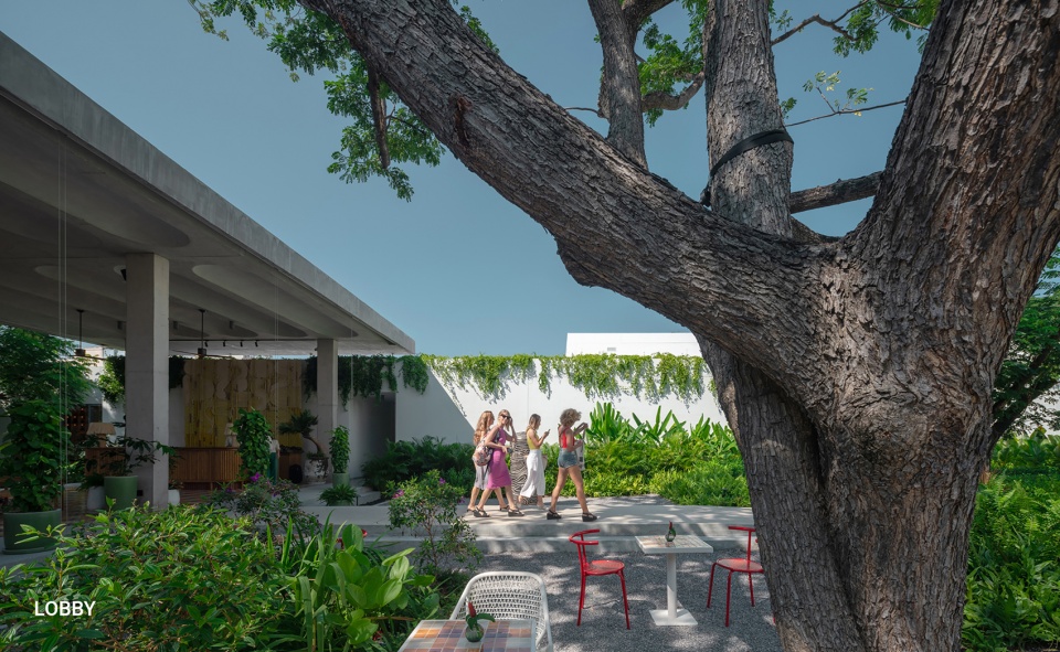 the standard hua hin by shma
