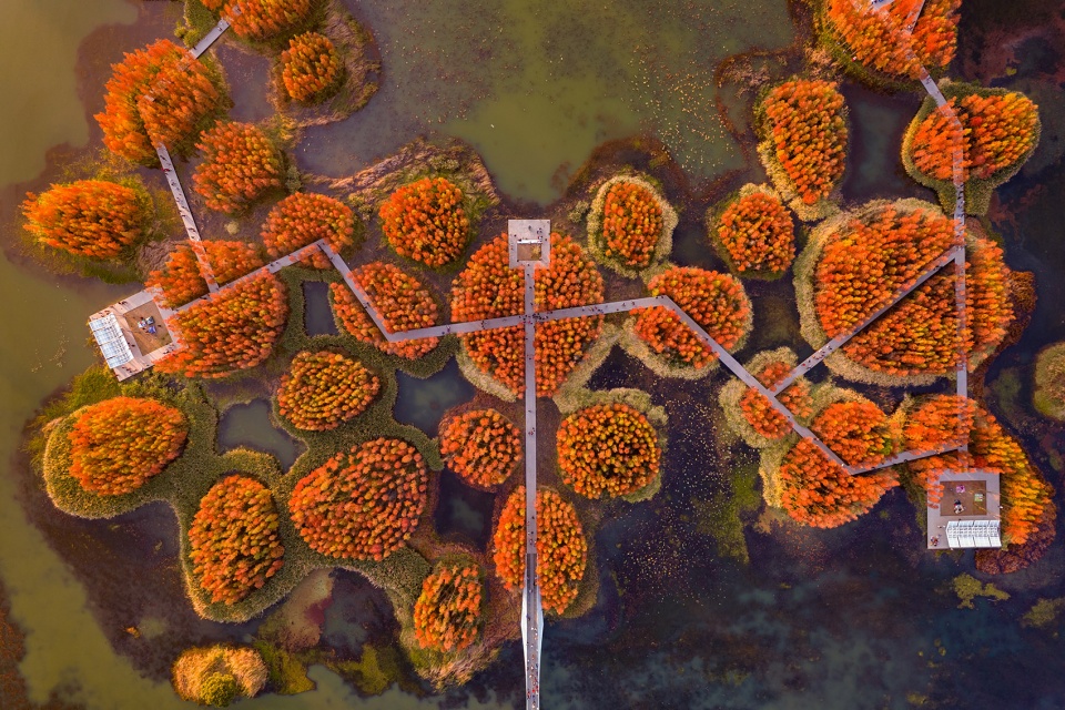Fish Tail Park in Nanchang City Turenscape
