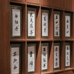 山茶，郑州 / 徽宗设计研究室