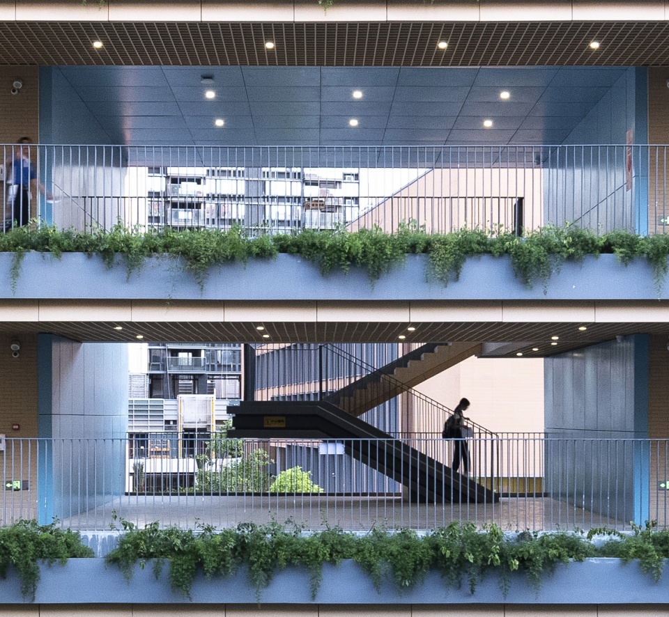 shenzhen foreign language school baoan campus china by capol international associates group