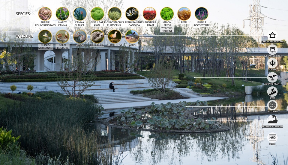 Zibo High tech District Cultural Sports Park China by GVL Design Group