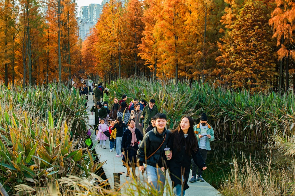 Fish Tail Park in Nanchang City Turenscape
