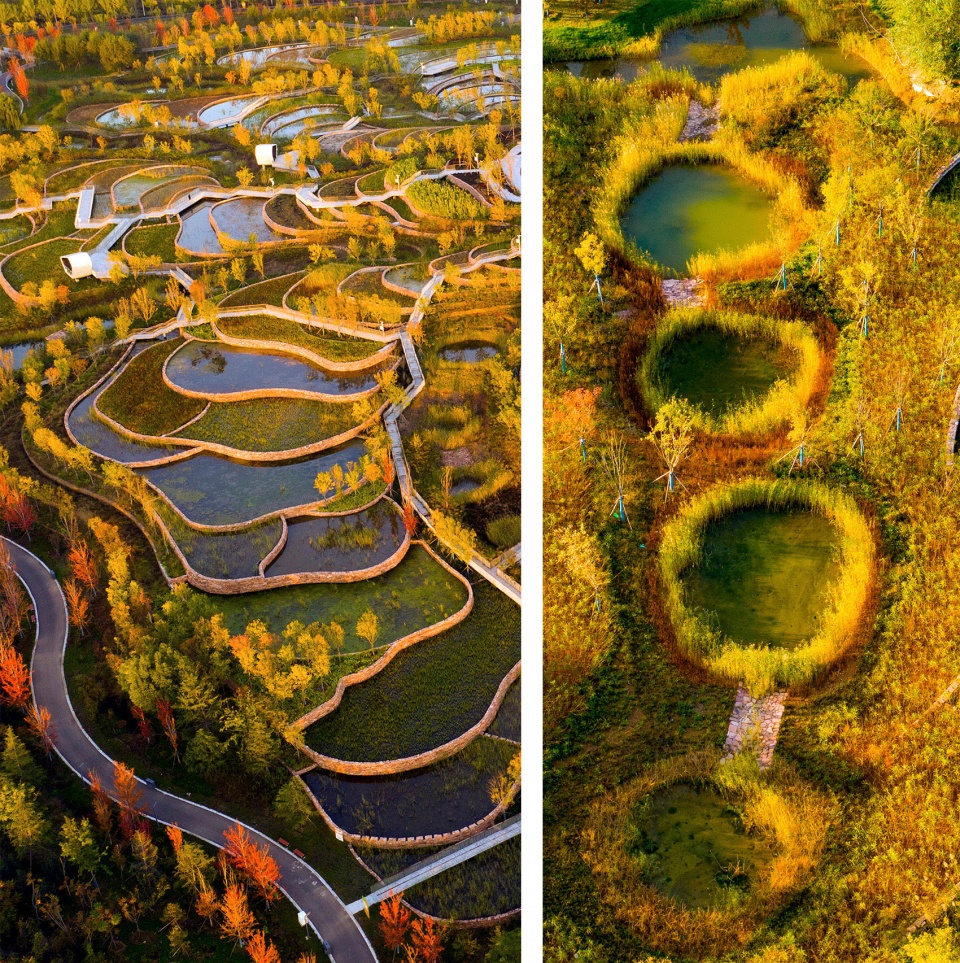 design as experiment the handan wastewater cleansing terraces by turenscape