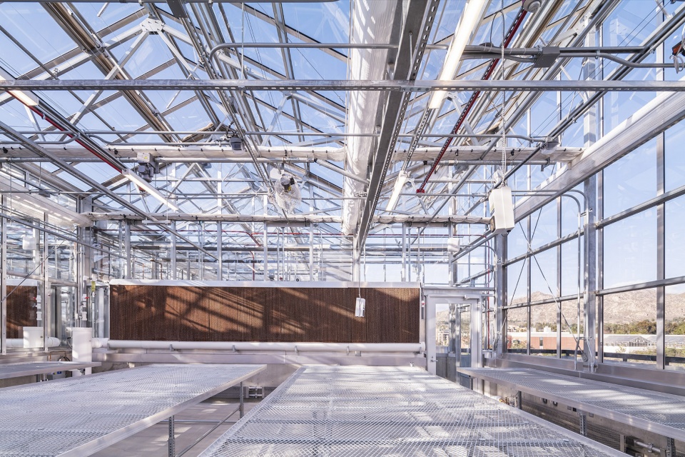 university of california riverside plant research 1 by perkinswill