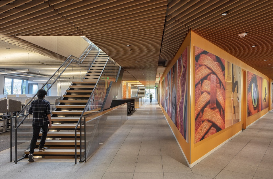 Serena Williams Building at Nike World Headquarters Skylab Architecture