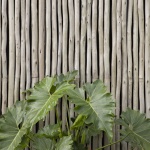 Trancoso住宅，巴西 / studio mk27