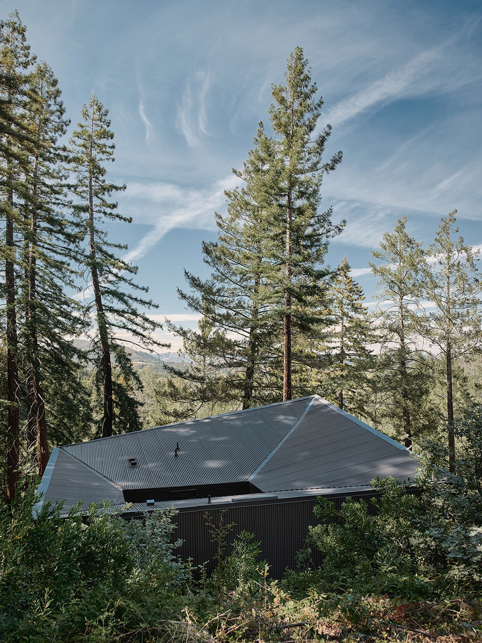 Mount Veeder Outpost Atelier Jorgensen