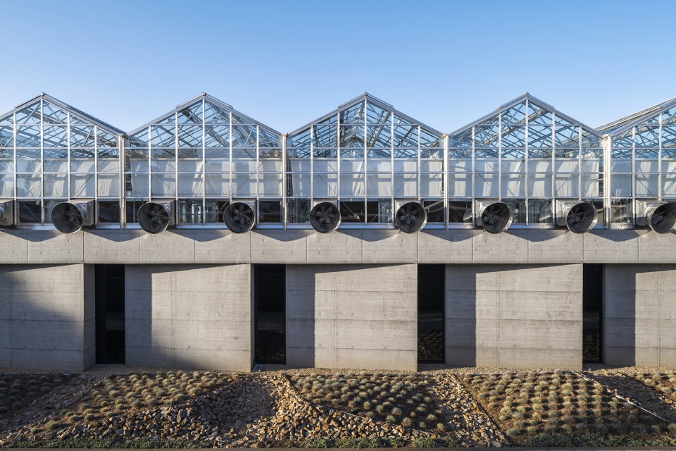 university of california riverside plant research 1 by perkinswill