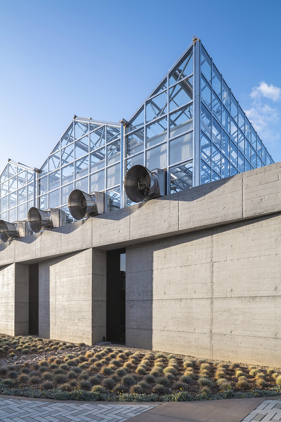 university of california riverside plant research 1 by perkinswill