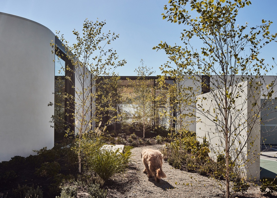 Arch House by Kister Architects