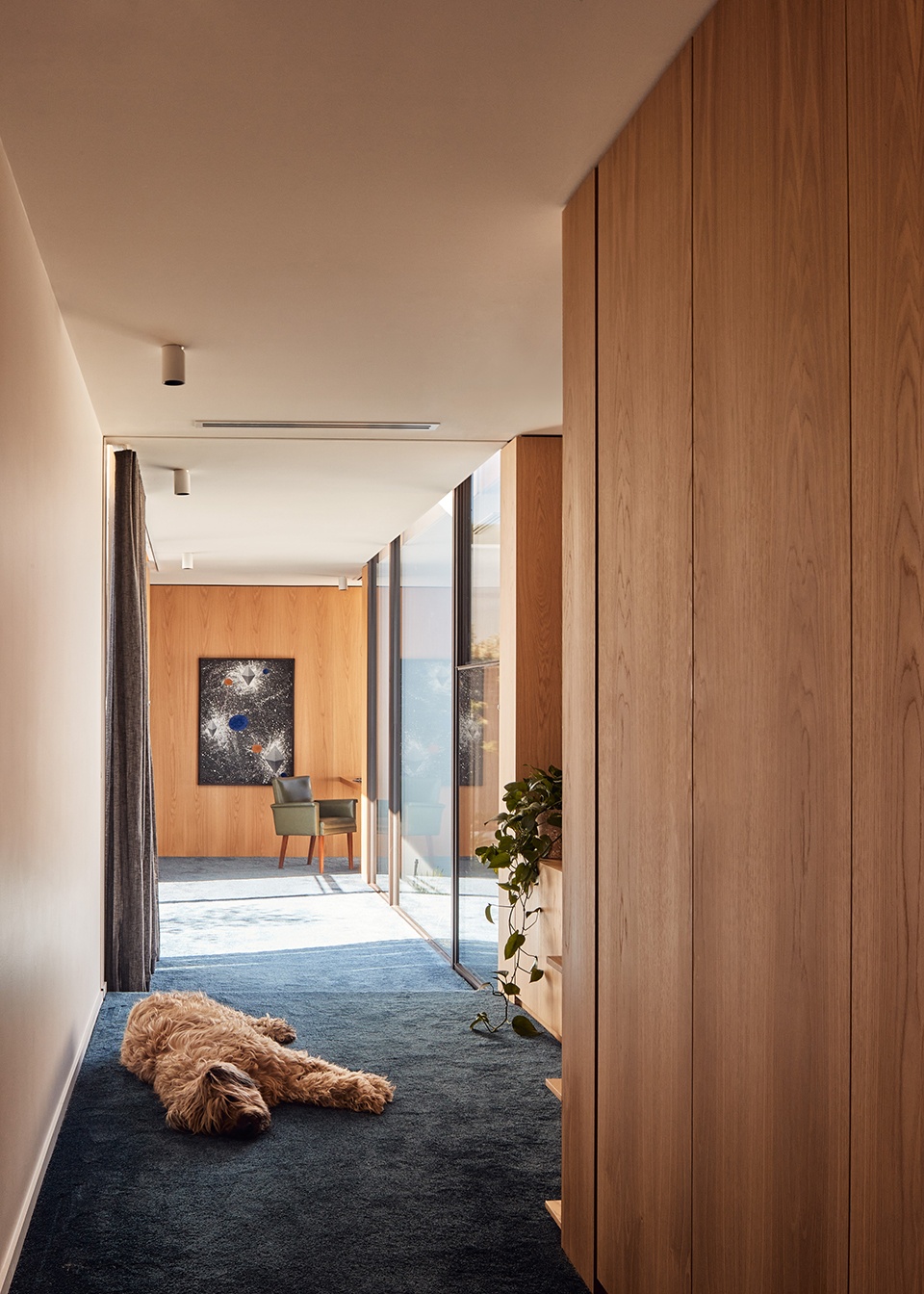Arch House by Kister Architects