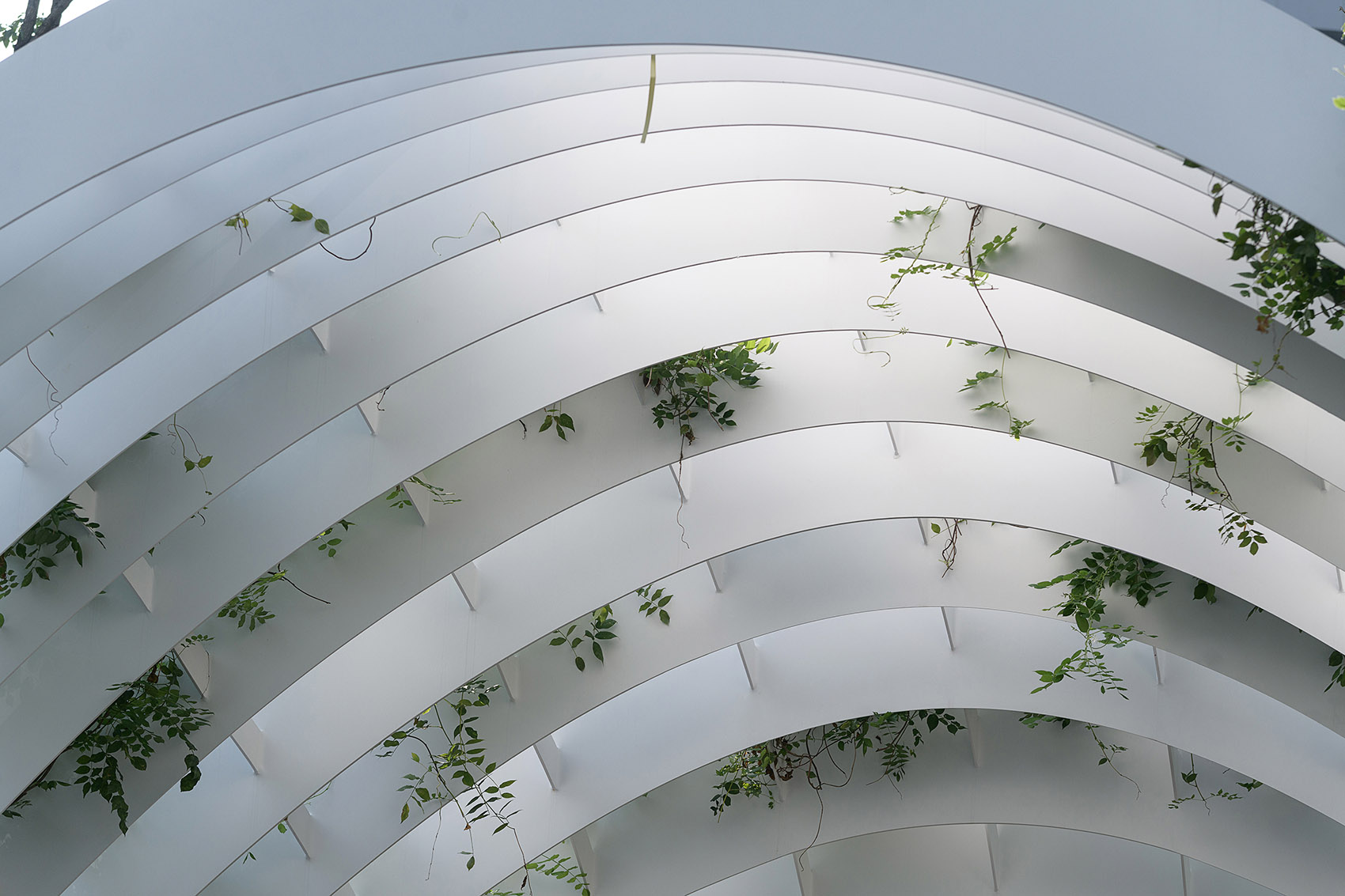 Courtyard of Ting Atelier Scale