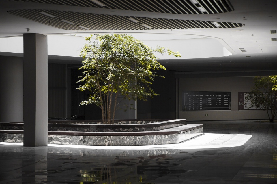 Shenzhen Gezhi Academy Capol International Associates Group