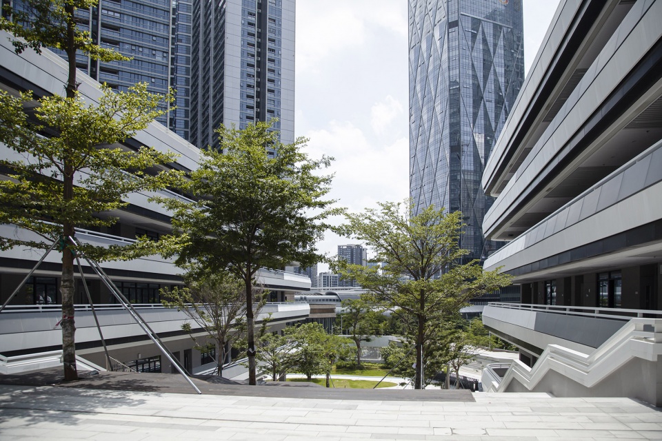 Shenzhen Gezhi Academy Capol International Associates Group