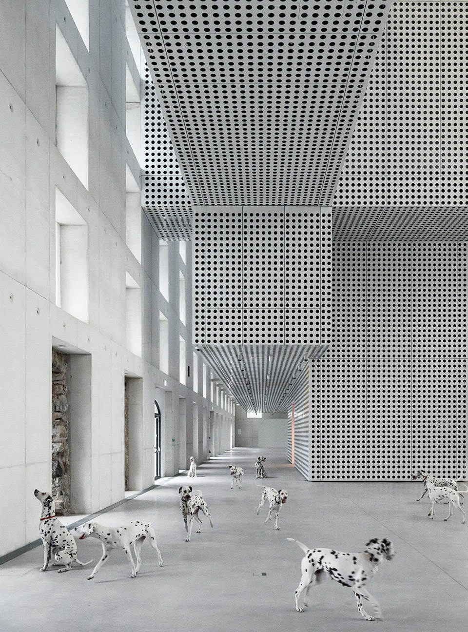 cukrarna gallery by scapelab
