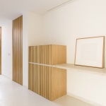 JR住宅，巴西 / Pascali Semerdjian Architects