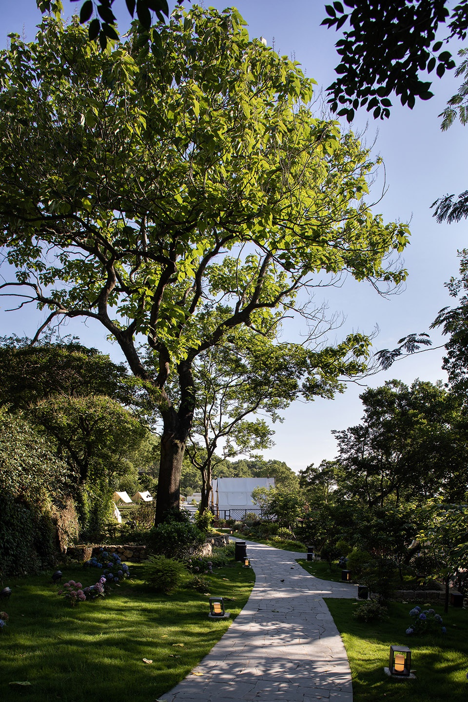 Zhenlong Blackstone Resort Z Design Studio